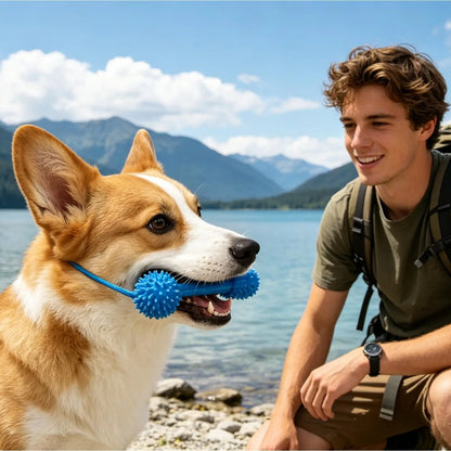 Puppy Chew Toys for Teething Chewer Sticks Mouth Opener Pet Supplies Dog Chewing Toy for Pet Puppy Small Medium Large Breeds