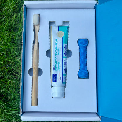 Dental Attachment