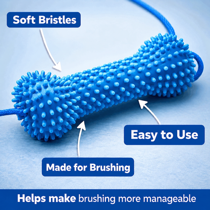 Dental Attachment