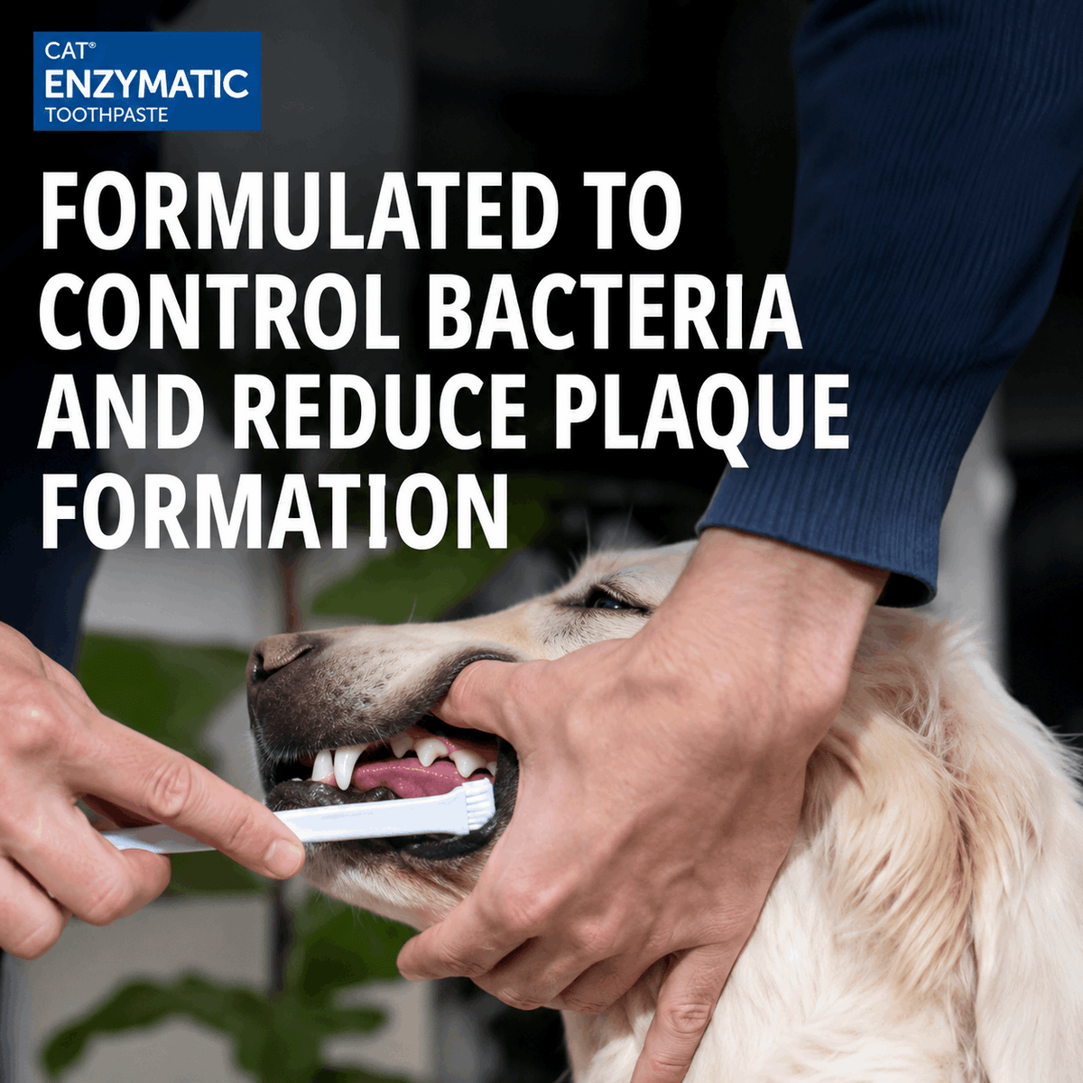 C.E.T Enzymatic Toothpaste