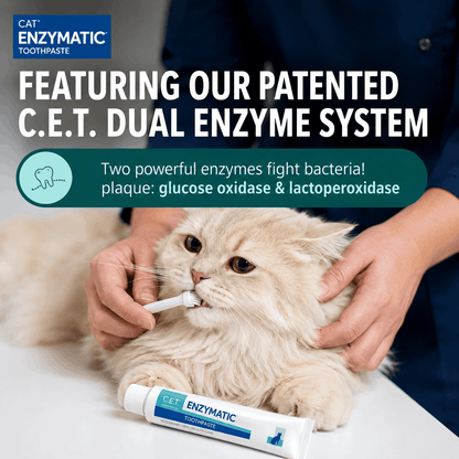 C.E.T Enzymatic Toothpaste