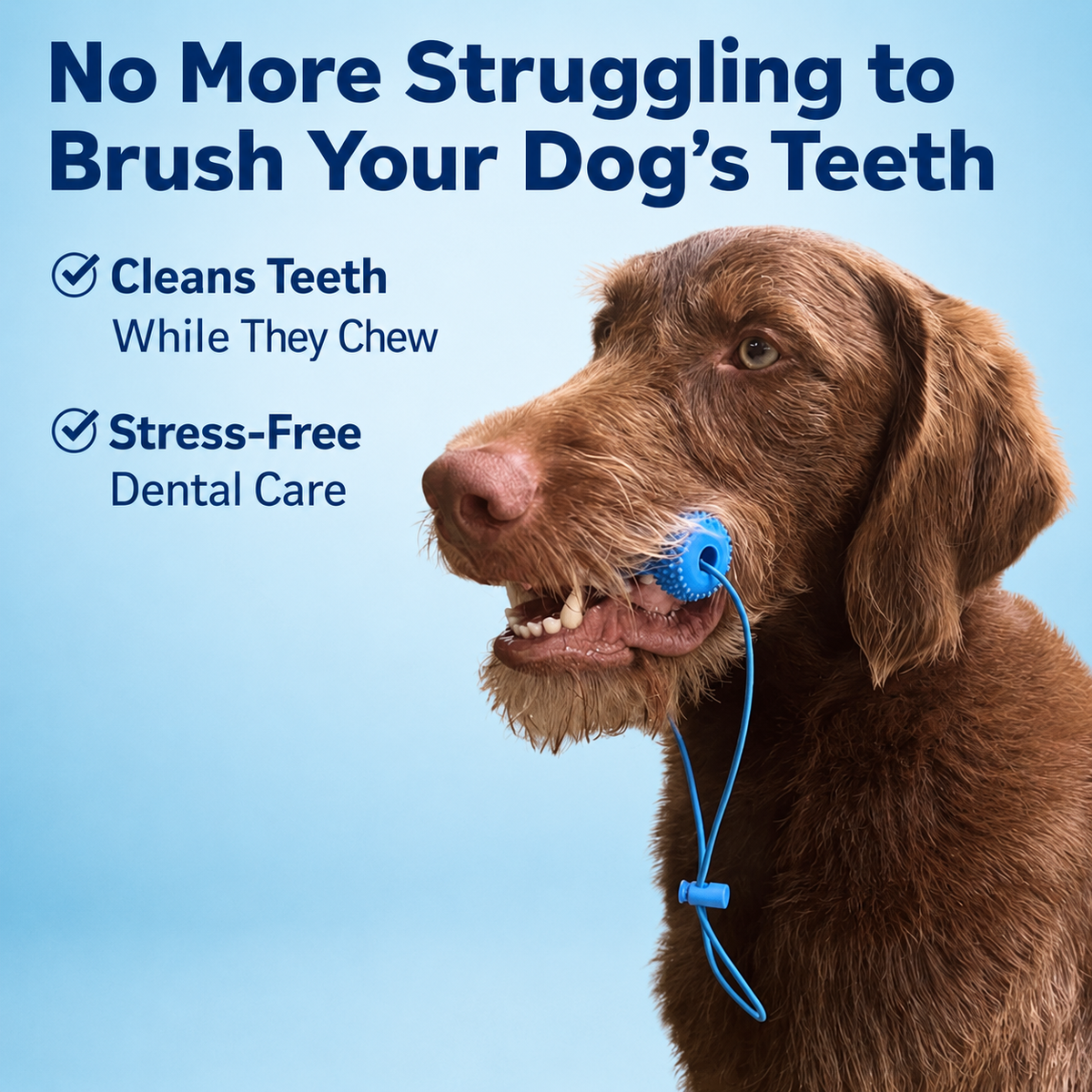 Dual Action Dental Toy