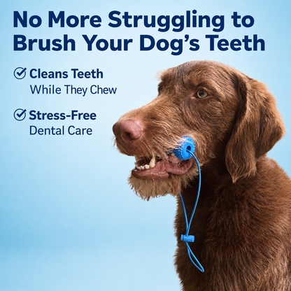 Dual Action Dental Toy