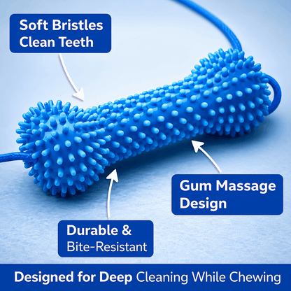 Features of Bright Bite dog toothbrush chew toy 