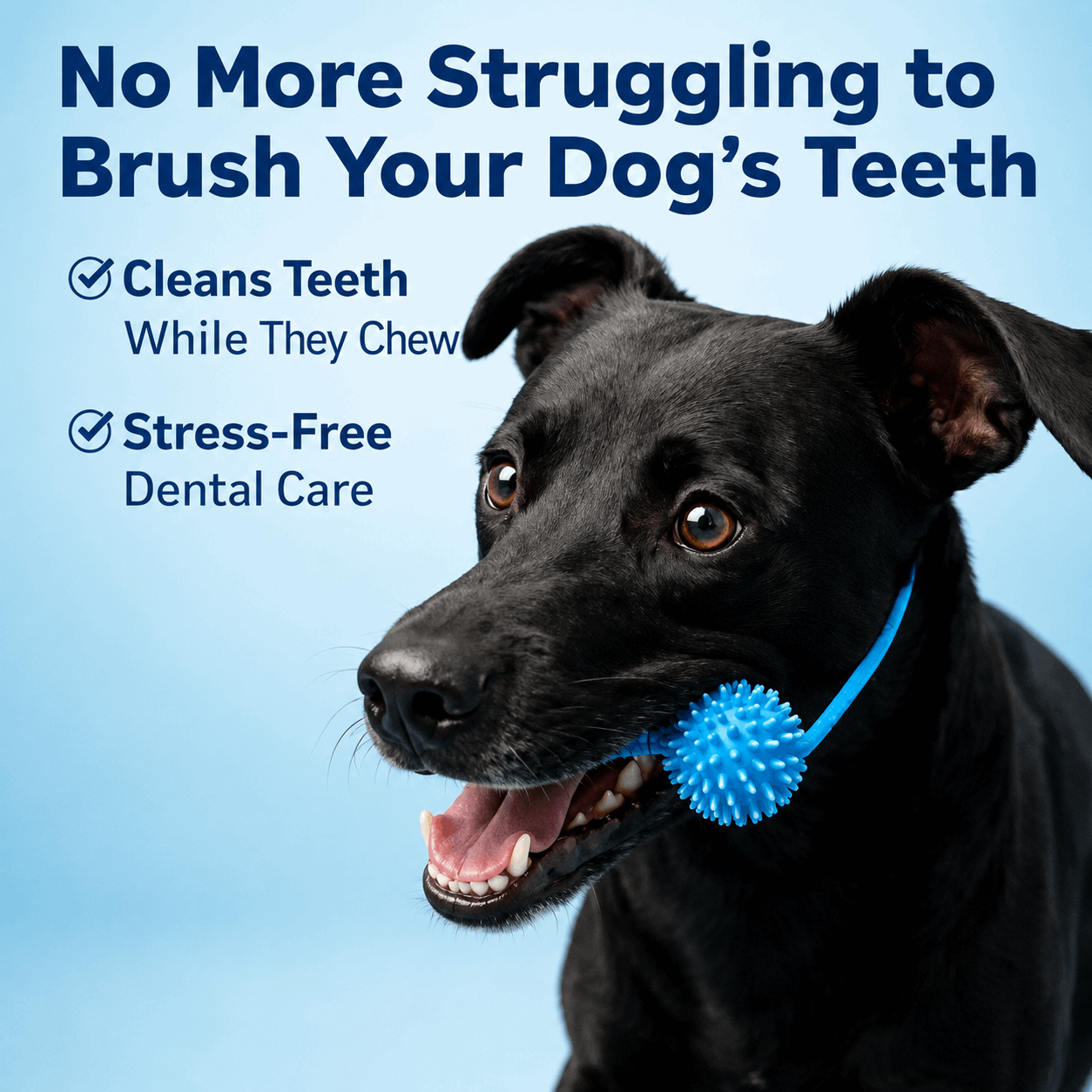 LABRADUDE Dog Toothbrushing Toy