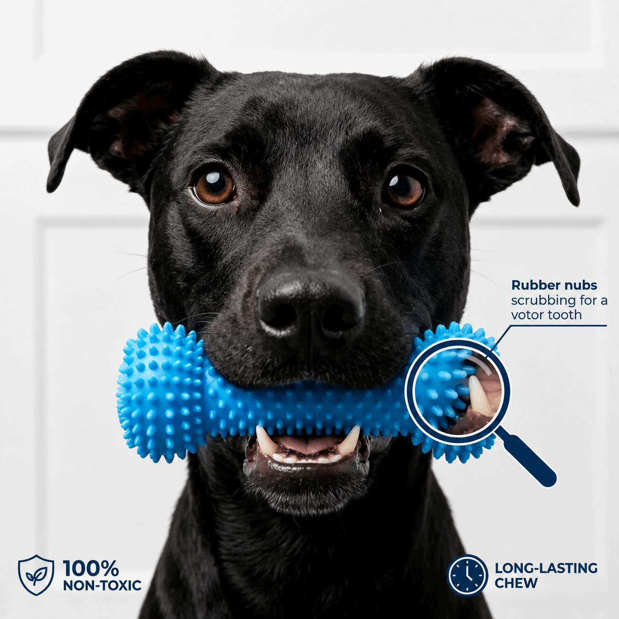 LABRADUDE  dog toothbrush chew toy with bristles cleaning a dog’s tooth