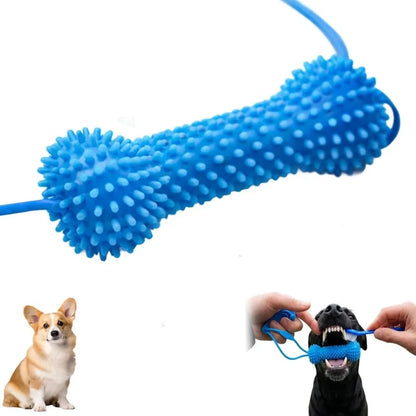  LABRADUDE Dog toothbrushing toy