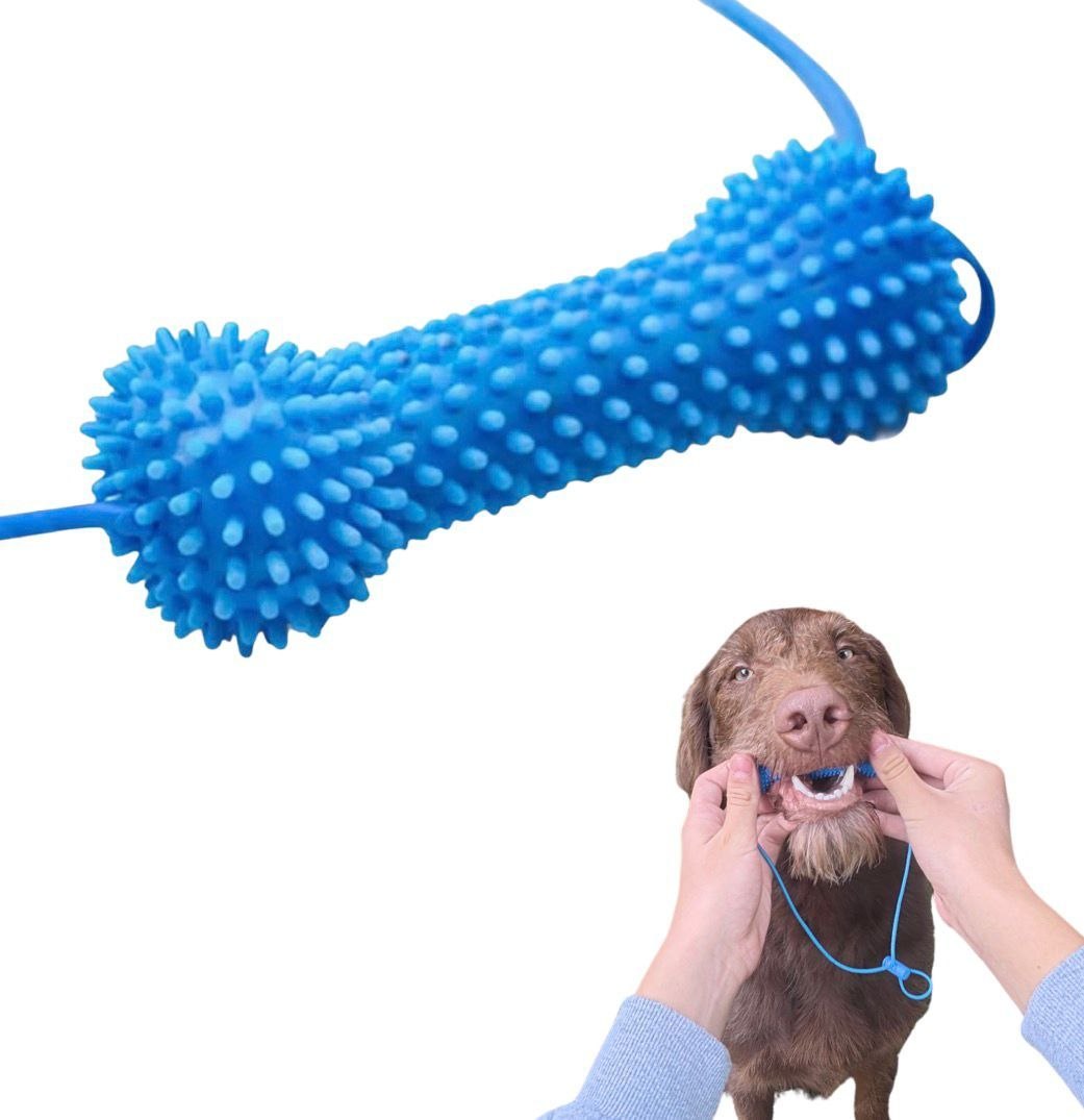 Dual Action Dental Toy