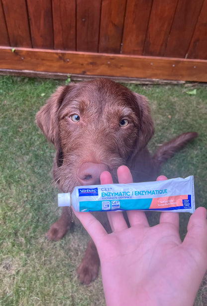 C.E.T Enzymatic Toothpaste